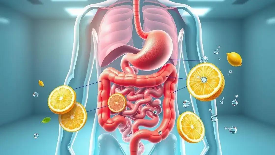  Mechanisms of Action in Weight Loss