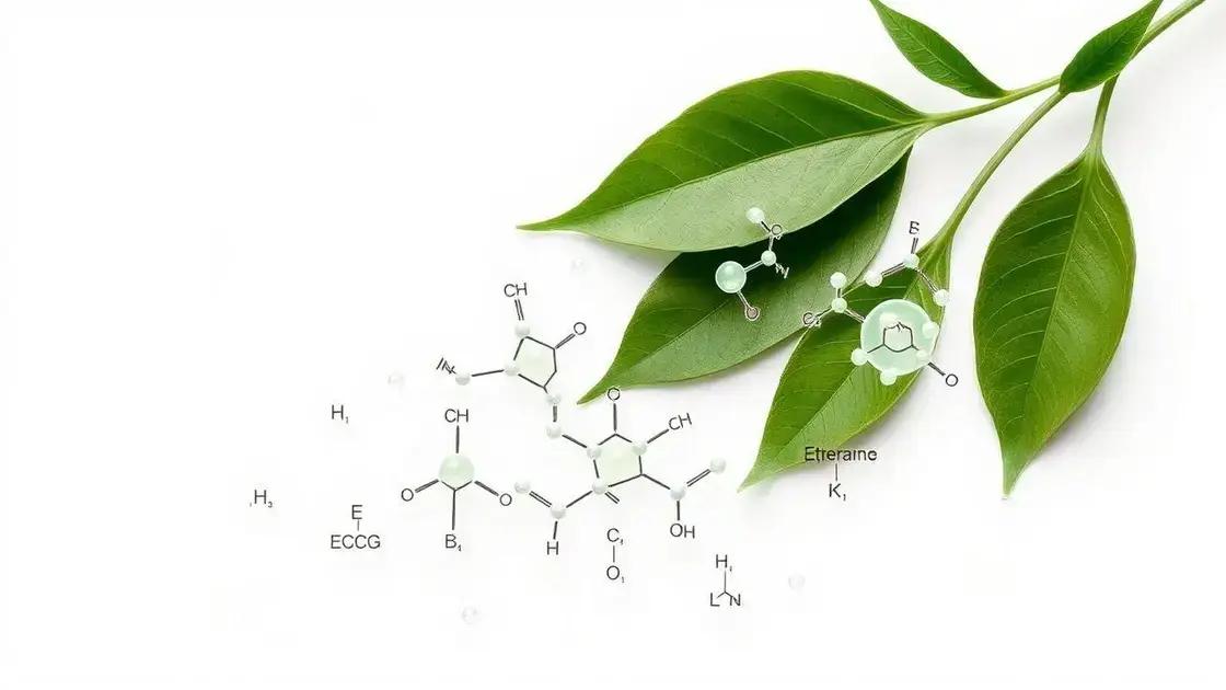 How Green Tea Extract Supports Hormonal Balance How Green Tea Extract Supports Hormonal Balance