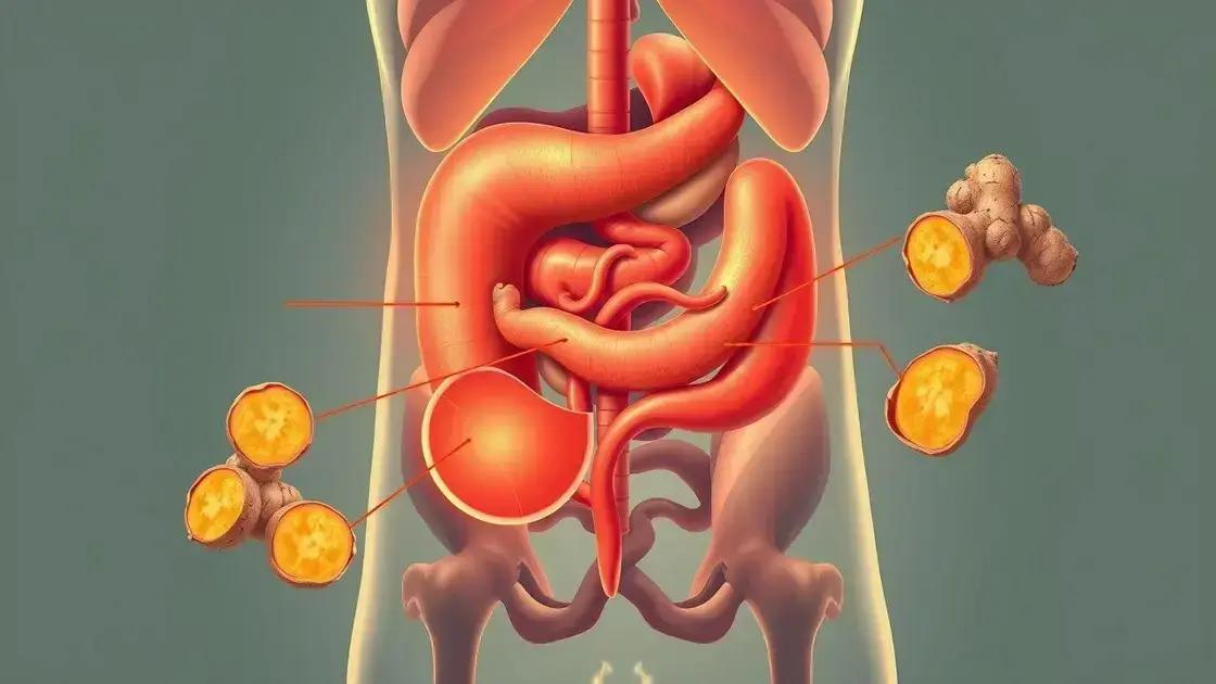 How Ginger Specifically Targets Belly Fat How Ginger Specifically Targets Belly Fat