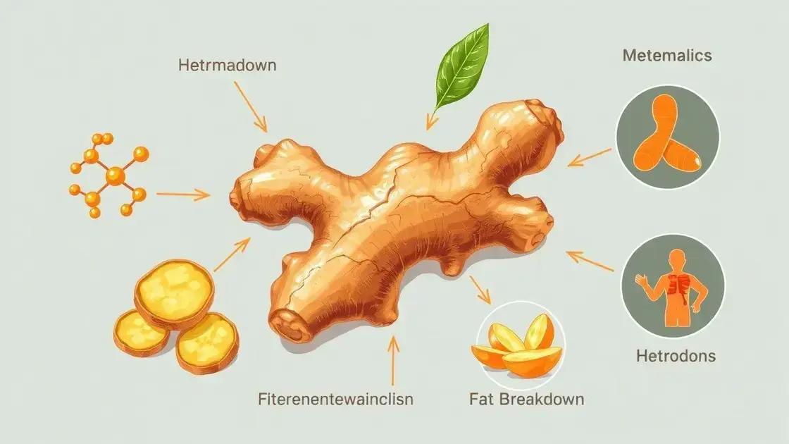 How Ginger Naturally Boosts Metabolism How Ginger Naturally Boosts Metabolism